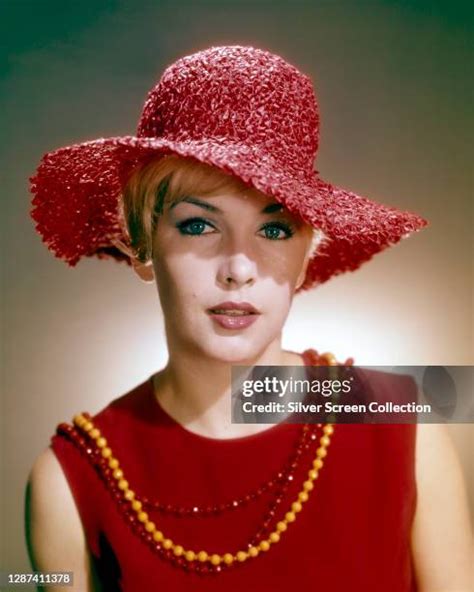 stella stevens hot|634 Stella Stevens Photos Stock Photos & High